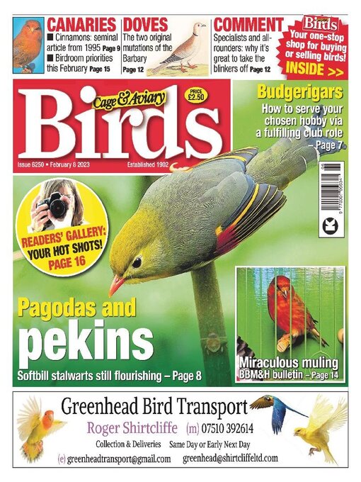 Cover image for Cage & Aviary Birds